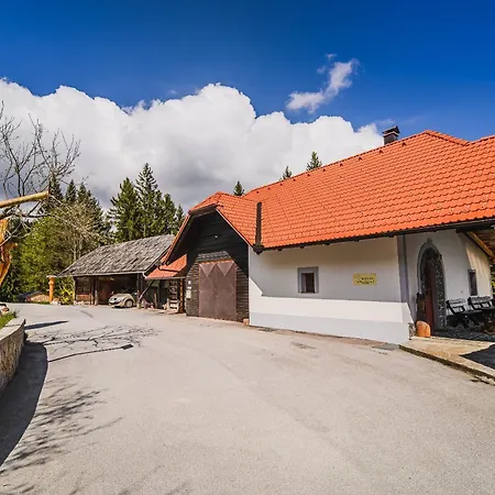 Kaval With Free Onsite Wellness Dravograd