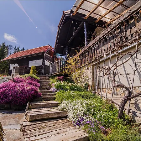 Kaval With Free Onsite Wellness * Dravograd