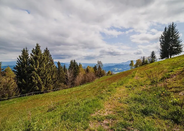 アパート Kaval With Free Onsite Wellness Dravograd