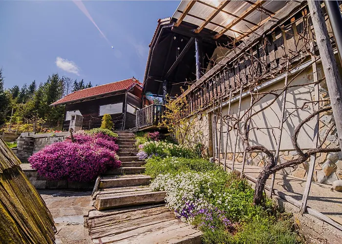 Kaval With Free Onsite Wellness * Dravograd